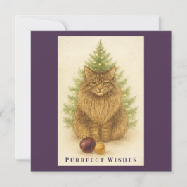 Purrfect Wishes – Cat Christmas – Maine Coon Cat Feiertagskarte