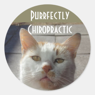 Purrfectly Chiropraktik-Aufkleber Runder Aufkleber