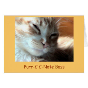 Purrfectly Schnurren-c, Schnurren-c C-Anmerkung