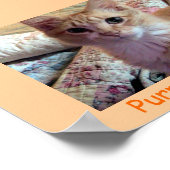 PURRFEKT-C-Poster Poster (Ecke)