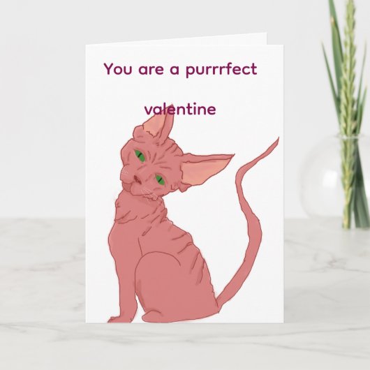 Purrfekte Valentins-Sphinx-Katzenkarte  Feiertagskarte (Vorderseite)