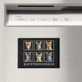 Purrfessionelle Katzen im Anzug Magnet (In Situ (Geschirrspüler))