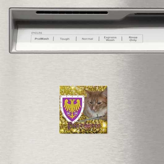 Purrheris Magnet (In Situ (Geschirrspüler))