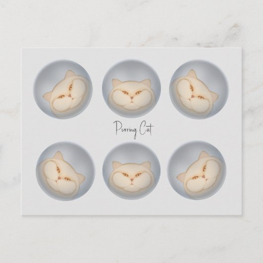 Purring Cat Postkarte (Vorderseite)