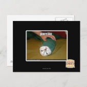 Purrito Postkarte (Vorne/Hinten)