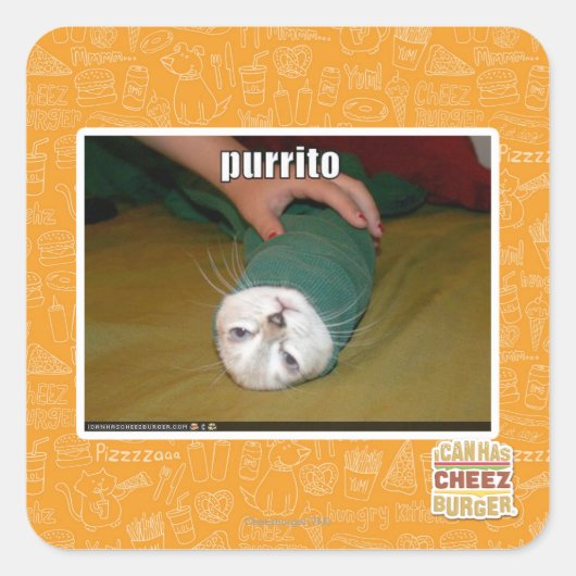 Purrito Quadratischer Aufkleber (Vorderseite)