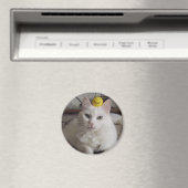 "Purrl" Magnet (In Situ (Geschirrspüler))