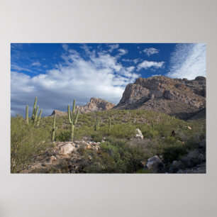 Pusch Ridge Landschaft Poster
