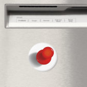 Push Button Magnet (In Situ (Geschirrspüler))