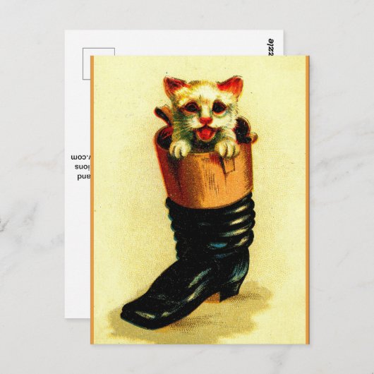 Puss 'n Boot Postkarte (Vorne/Hinten)