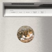 Pussels - Katze auf einem Stumpf Magnet (In Situ (Geschirrspüler))