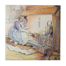 Pussy-Katze sitzt durch das Feuer