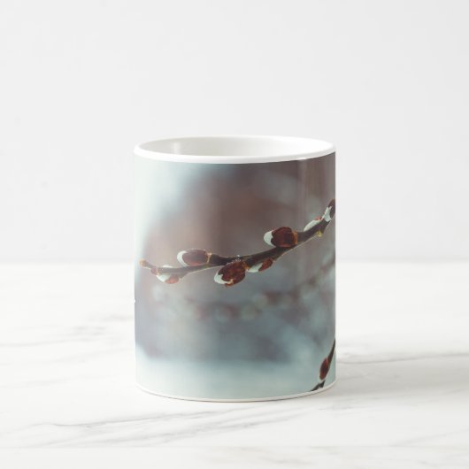 Pussy Weide Zweige mit Katkins im Späten Winter Kaffeetasse (Mittel)