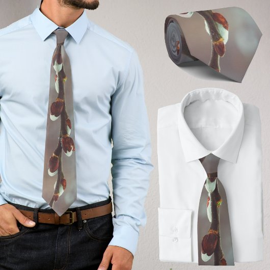 Pussy Weide Zweige mit Katkins im Späten Winter Krawatte