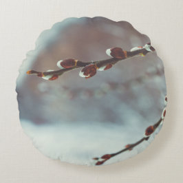 Pussy Weide Zweige mit Katkins im Späten Winter Rundes Kissen