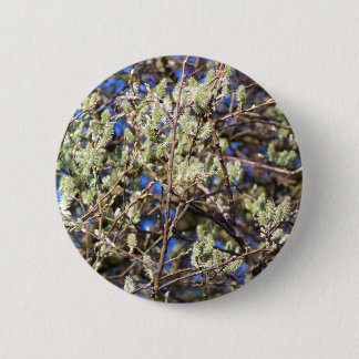 PUSSY WILLOW BUTTON