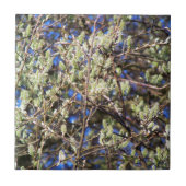 PUSSY WILLOW FLIESE (Vorderseite)