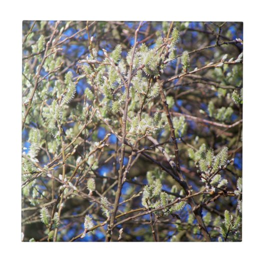 PUSSY WILLOW FLIESE (Vorderseite)