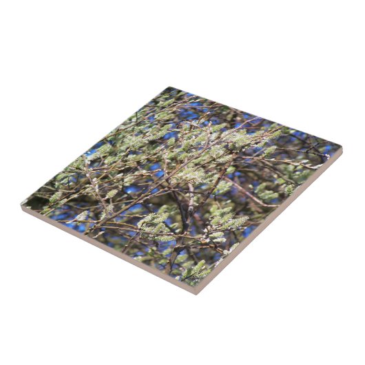 PUSSY WILLOW FLIESE (Seite)