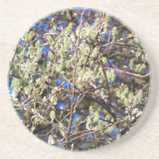 PUSSY WILLOW GETRÄNKEUNTERSETZER