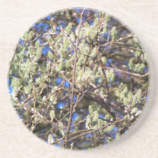 PUSSY WILLOW GETRÄNKEUNTERSETZER (Vorne)