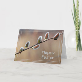 Pussy Willow Oaster Card Karte