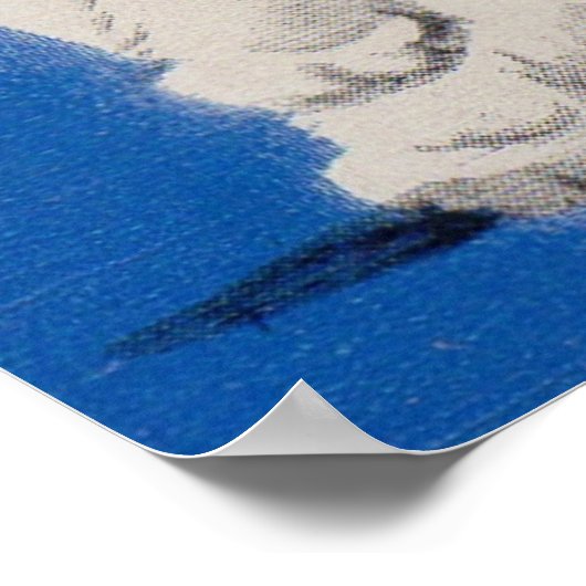 Pussycat und Muschelweide Poster (Ecke)