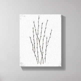 Pussywillows Canvas Print Leinwanddruck