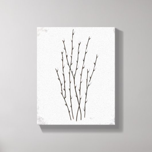 Pussywillows Canvas Print Leinwanddruck (Vorderseite)