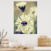 Pusteblum Poster (Küche)