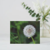 Pusteblum Postkarte (Stehend Vorderseite)