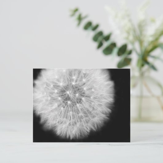 Pusteblum Postkarte (Stehend Vorderseite)