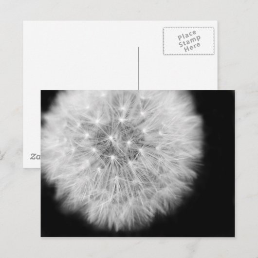Pusteblum Postkarte (Vorne/Hinten)