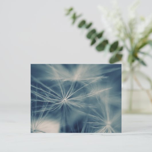 Pusteblum Postkarte (Stehend Vorderseite)