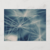 Pusteblum Postkarte (Vorderseite)