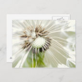 Pusteblum Postkarte (Vorne/Hinten)