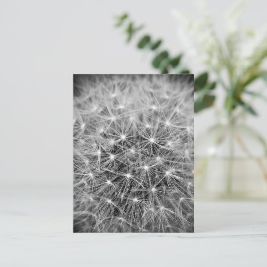 Pusteblum Postkarte (Stehend Vorderseite)