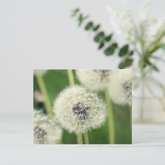 Pusteblume 2013 2 postkarte (Stehend Vorderseite)