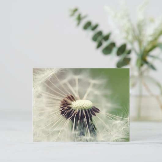 Pusteblume 2013 3 postkarte (Stehend Vorderseite)