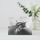 Pusteblume 2013 4 postkarte (Stehend Vorderseite)