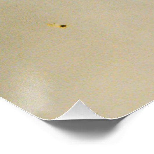 Pusteblume (4/4) - Download Poster (Ecke)