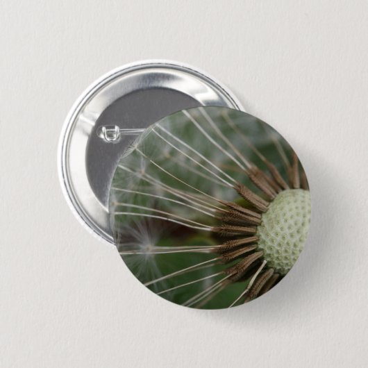 pusteblume button (Vorne & Hinten)