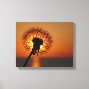 Pusteblume / Dandelion Leinwanddruck