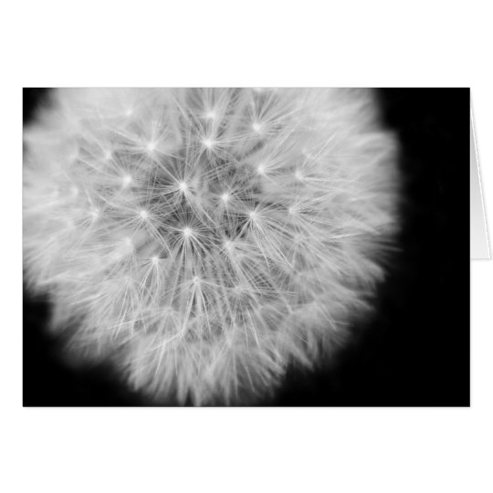 Pusteblume Karte