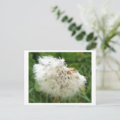 Pusteblume mit Morgentau Postkarte (Stehend Vorderseite)