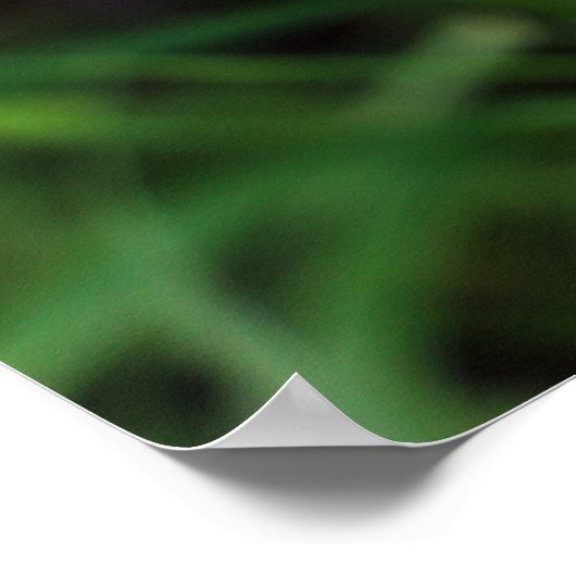 Pusteblume Poster (Ecke)