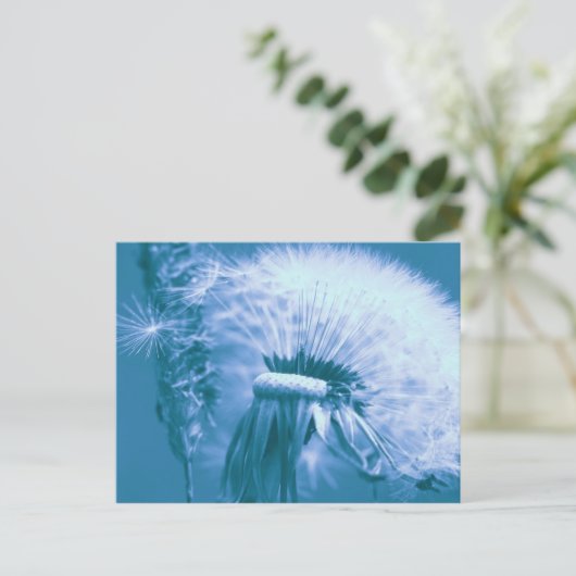 Pusteblume Postkarte (Stehend Vorderseite)