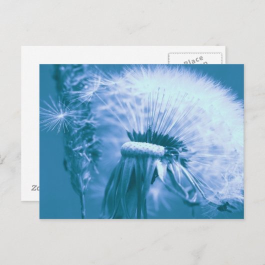 Pusteblume Postkarte (Vorne/Hinten)