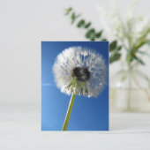 Pusteblume Postkarte (Stehend Vorderseite)