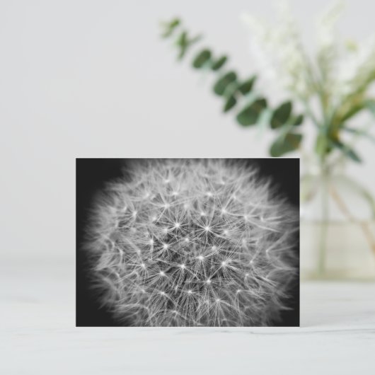 Pusteblume Postkarte (Stehend Vorderseite)